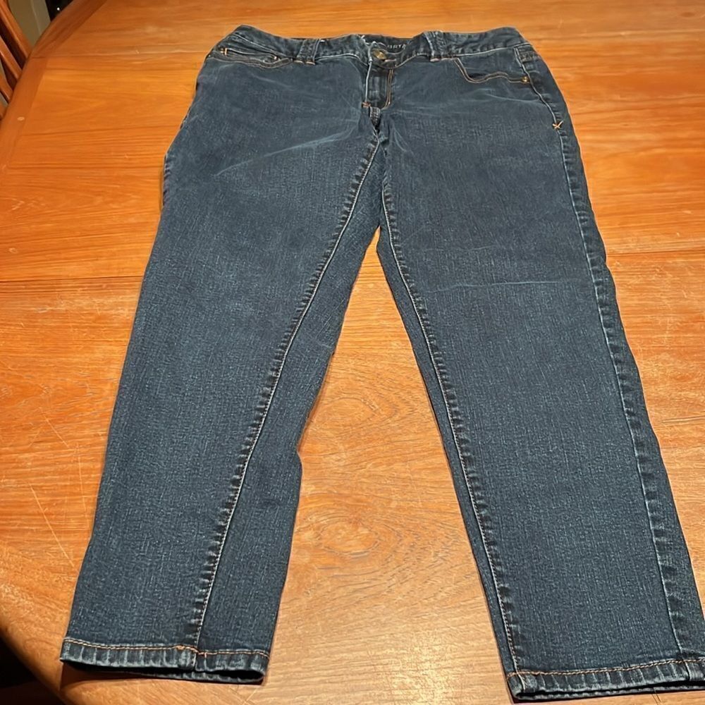 Lane Bryant Jeans
